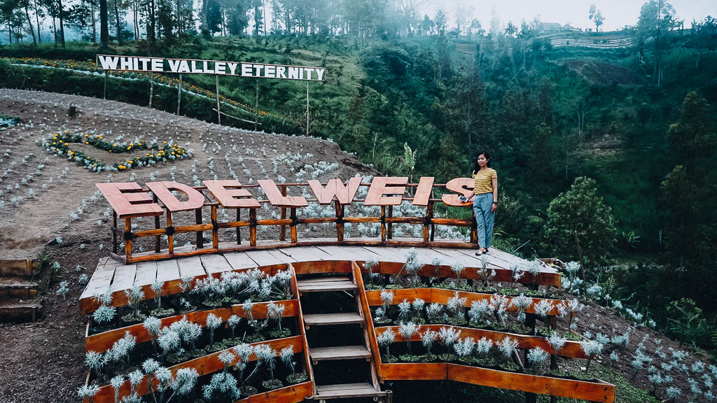 Taman Edelweis Bali yang dibangun kembali setelah erupsi Gunung Agung