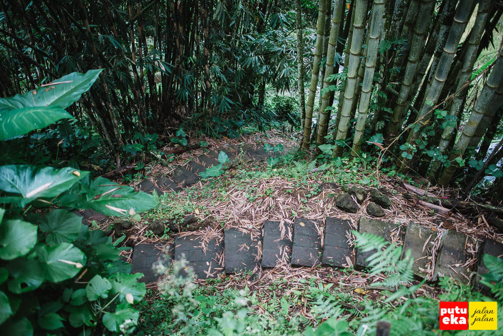 Undakan yang melingkar melewati pepohonan bambu