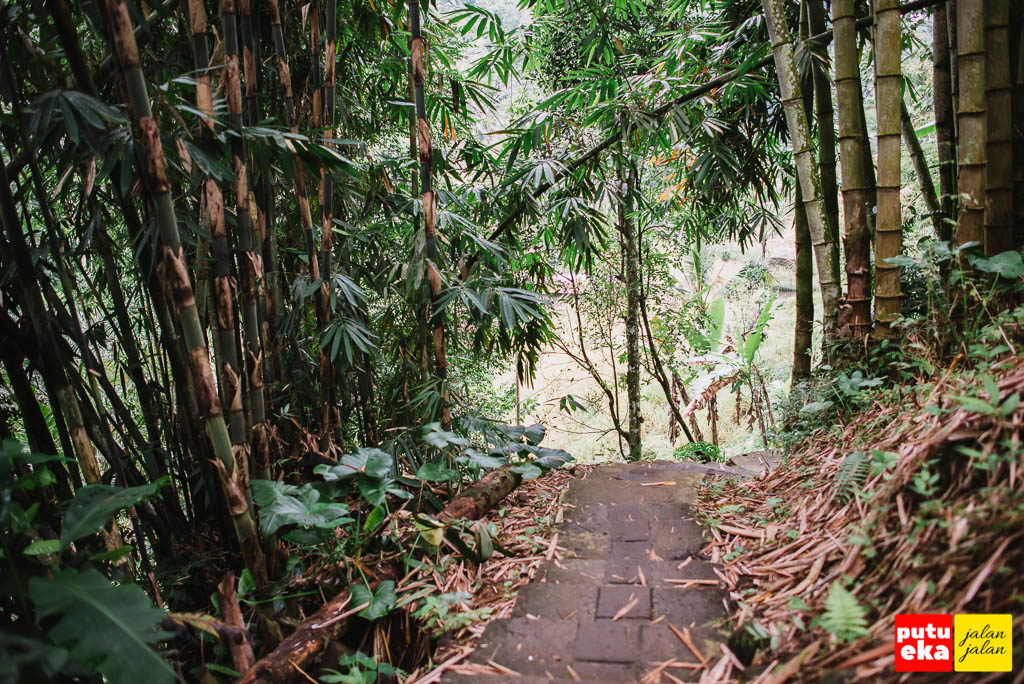 Jalan menuju air terjun yang membelah pepohonan bambu
