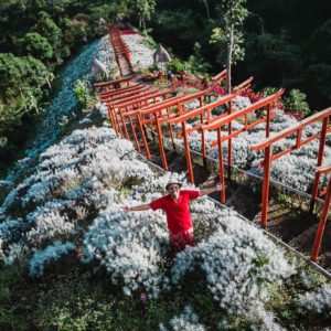 Taman Jinja Bali Penawar Rindu Liburan ke Jepang