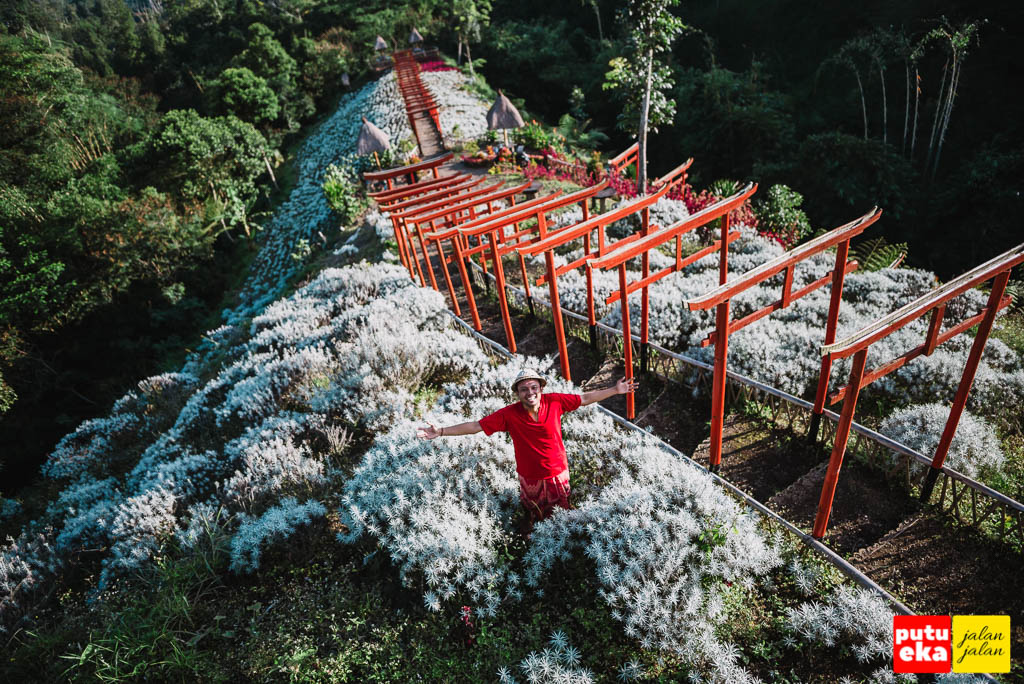 Taman Jinja Bali Penawar Rindu Liburan ke Jepang | Putu Eka Jalan Jalan