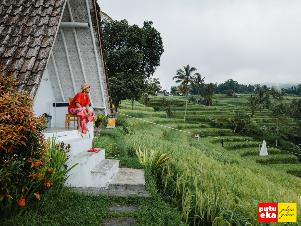 Duduk menikmati pemandangan dari Padi Bali jatiluwih serta melepaskan penat